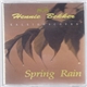 Hennie Bekker - Spring Rain